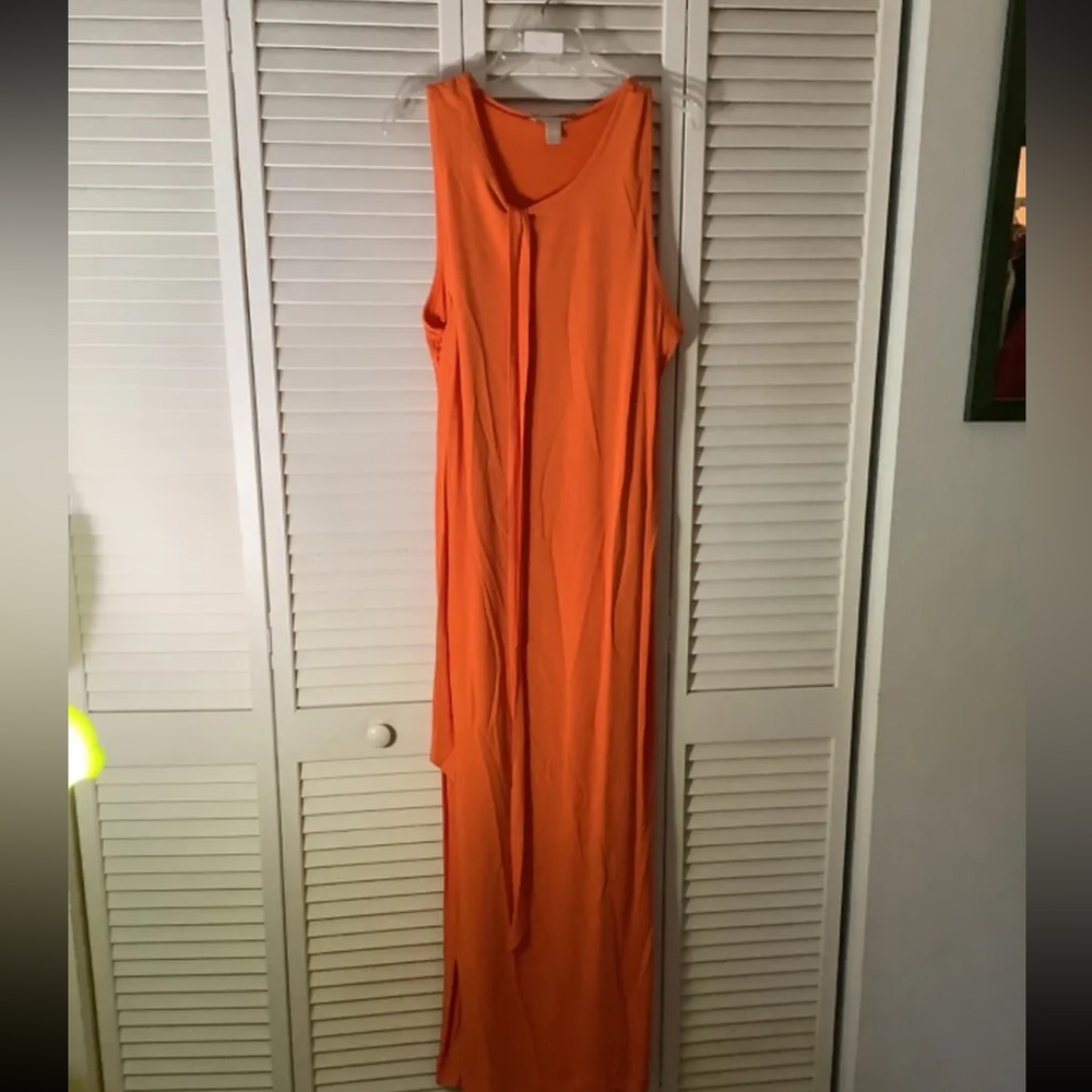 Banana Republic Orange Dress and sash